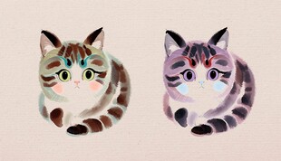 水彩猫