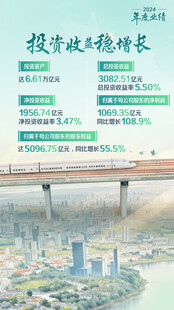 国寿年报海报 投资