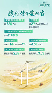 国寿年报海报 践行