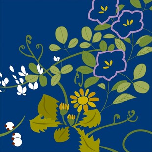 蓝色背景花卉植物插画