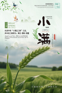 二十四节气小满海报