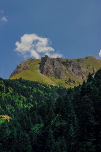 青山绿树间的秀丽山峰