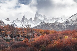 秋日雪山下的绚烂山林