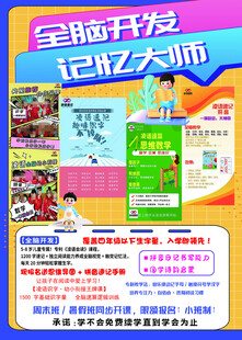 全脑开发 提升记忆力 情商培养