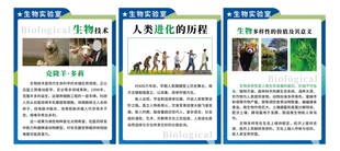 生物实验室宣传海报展板
