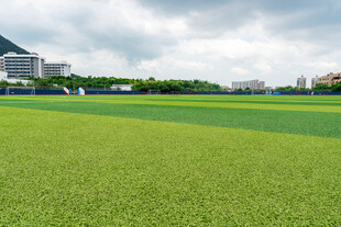 绿茵场地 城市中的运动空间