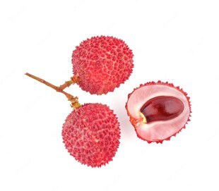 新鲜荔枝果实特写