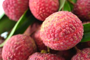 新鲜饱满的荔枝果实