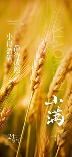 二十四节气之一小满节气宣传