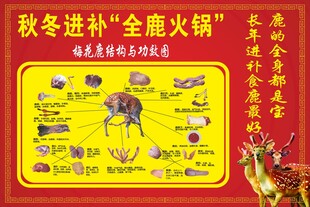 秋冬进补全能火锅指南