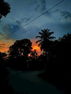 黄昏下的道路与树木景观