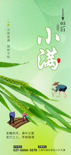 小满时节田园景象