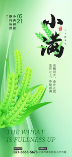 小满时节绿意浓