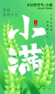 小满时节绿意浓的麦穗