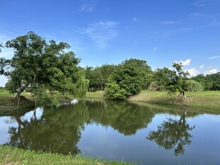 良渚遗址公园