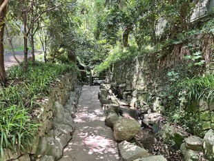 抱朴道院