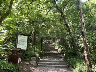 抱朴道院