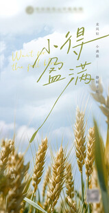 小满芒种节气海报