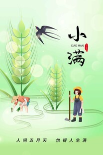 小满节气海报