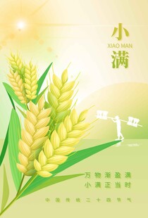 小满节气海报