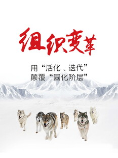 组织变革 激活团队新力量