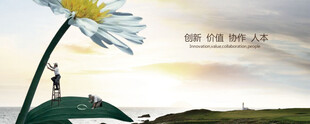 夕阳下的花朵与远方身影