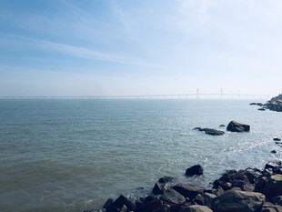 海边 大海