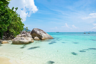 海滩 沙滩