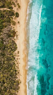 海滨 沙滩
