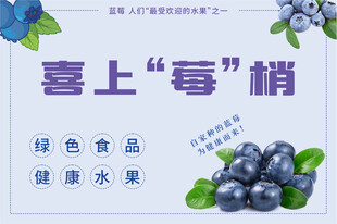 蓝莓海报