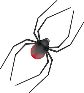 黑红蜘蛛插画