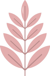 粉色叶片插画