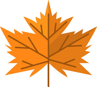橙色枫叶图标