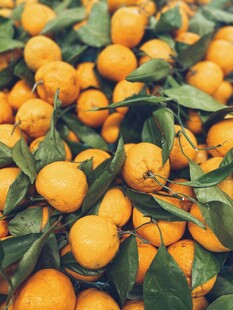 饱满橘子带叶堆成小山