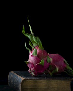 书本上的鲜艳火龙果