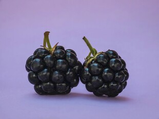 两颗饱满的黑桑葚