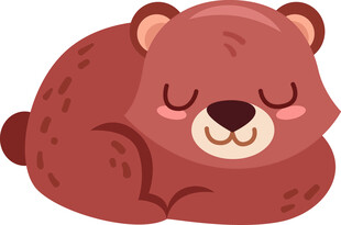 熟睡的小熊