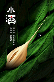 小满节气海报