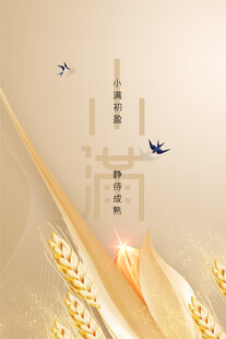 小满节气海报