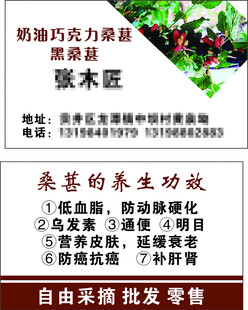 桑葚名片