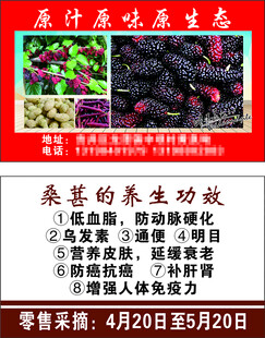 桑葚名片221