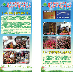 土鸡养殖展架