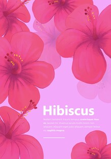 粉色木槿花背景图