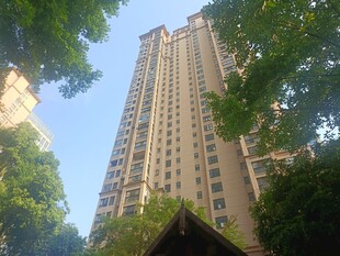 高楼矗立绿树环绕间