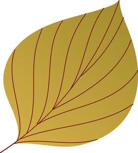 黄色叶脉叶片插画