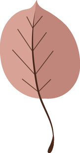 粉色叶片插画