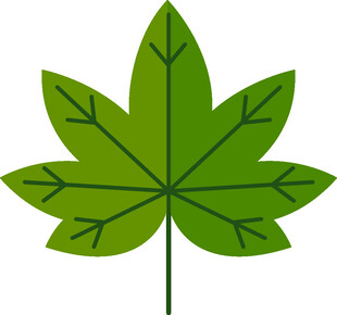 绿色枫叶图标