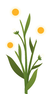 清新手绘黄色小花植物