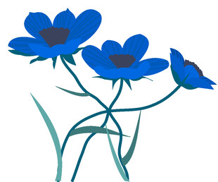 蓝色花朵插画