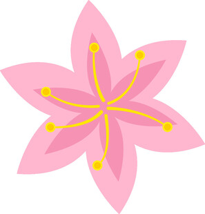 粉色六瓣花朵插画